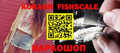 прущие крисы Кингисепп