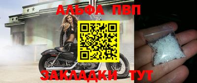 прущие крисы Кингисепп