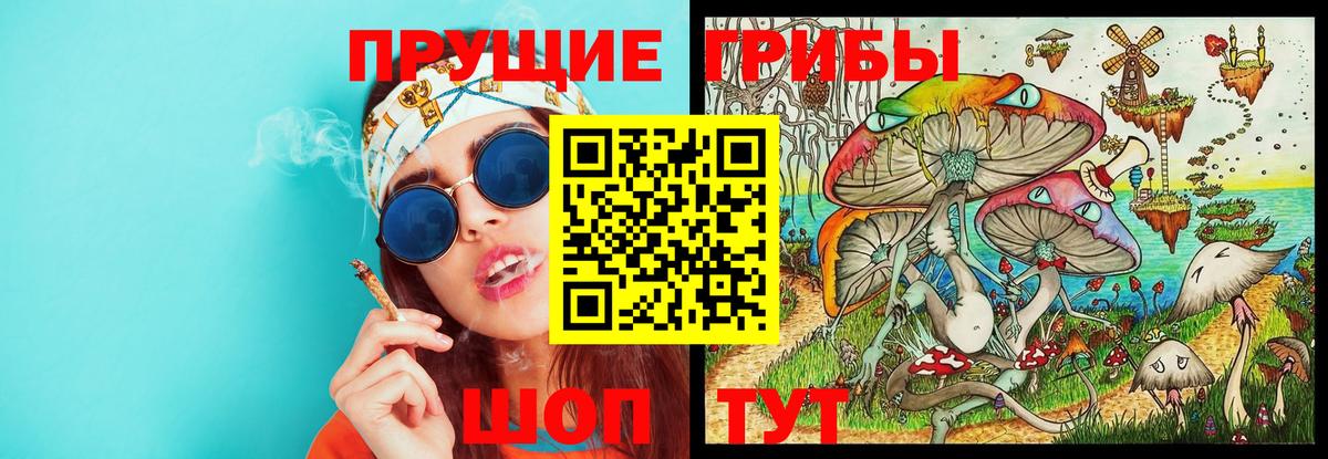 Псилоцибиновые грибы GOLDEN TEACHER  Вход с VPN  Коркино  Галлюциногенные грибы прущие грибы 
